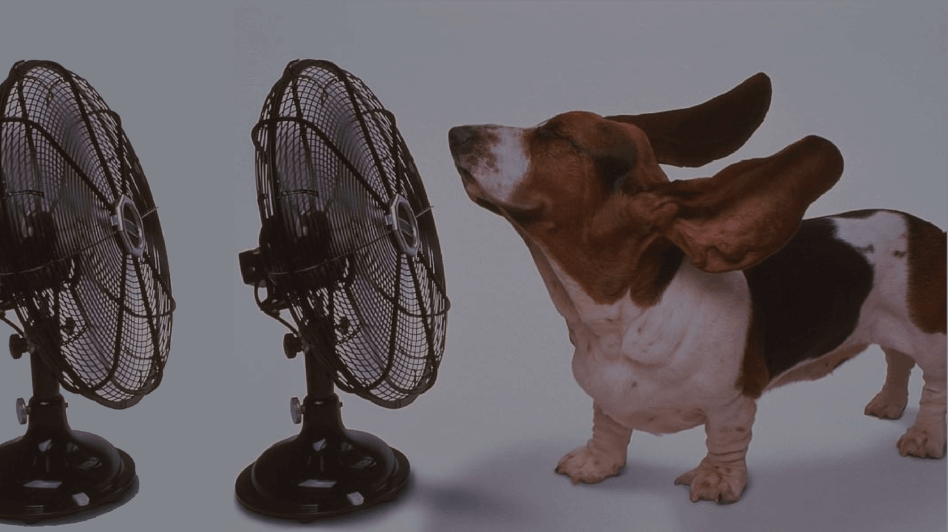 VF – Fábrica de Ventiladores VF – Fábrica de Ventiladores